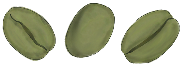 Green Coffee