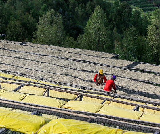 Get In Touch