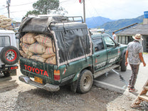 Farmers delivering coffee to the mill by horse in Buesaco.