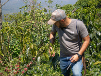 Luis Duarte Jr gives us a tour of Finca San Miguel in 2024.