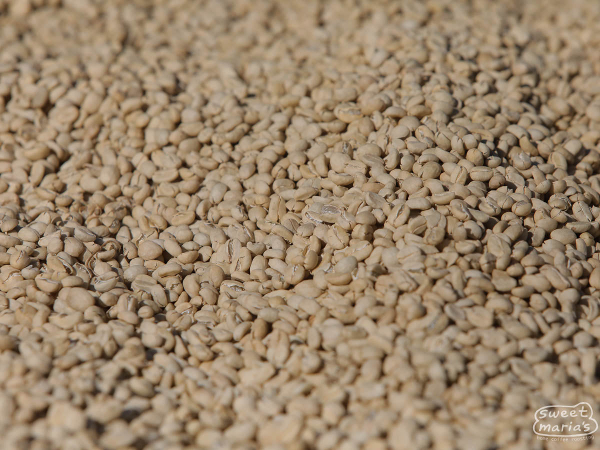 Ethiopia Uraga SWP Decaf