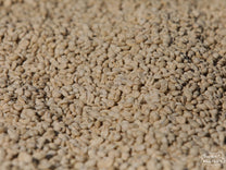 Ethiopia Uraga SWP Decaf