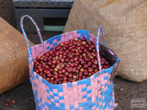 Ethiopia Uraga SWP Decaf