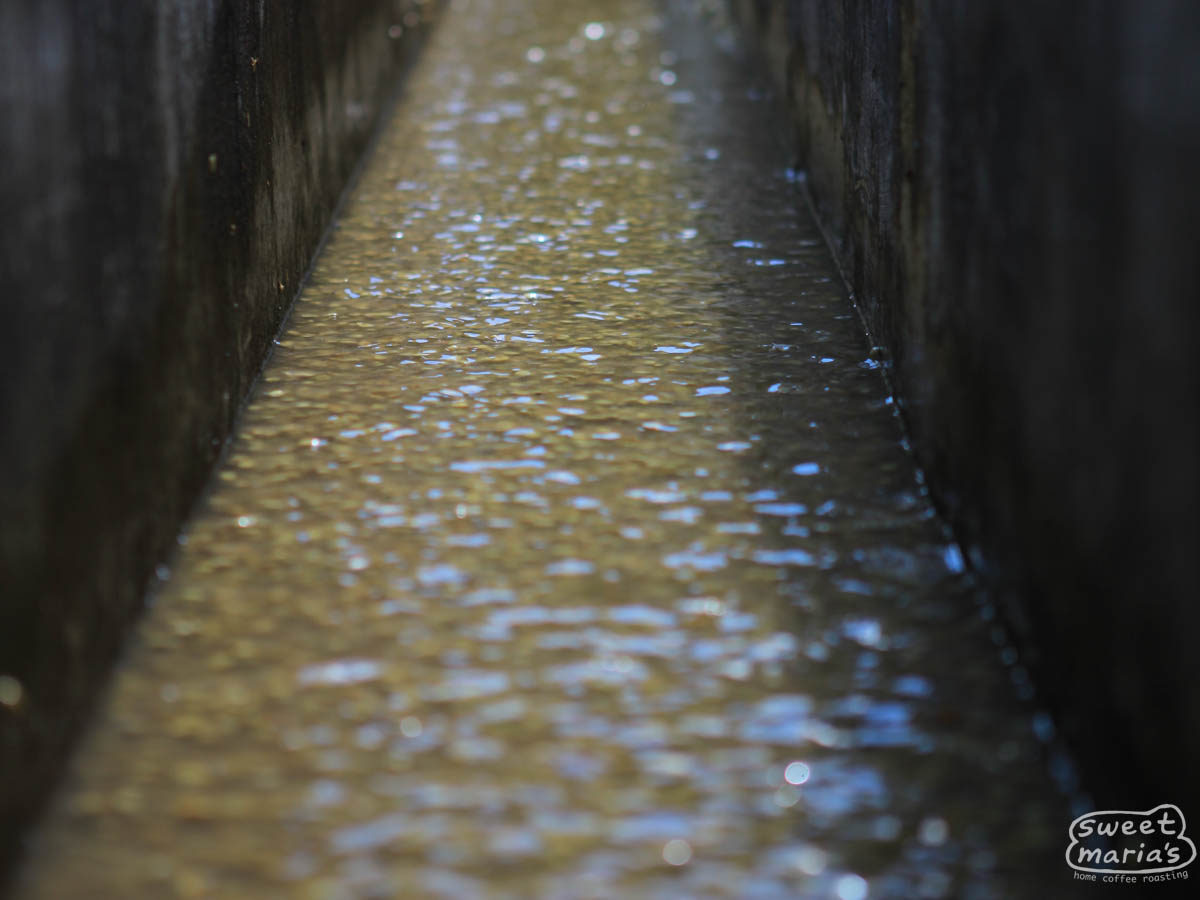 Rippling water in the cement washing channel at a wet mill in Huehuetenango, Guatemala.