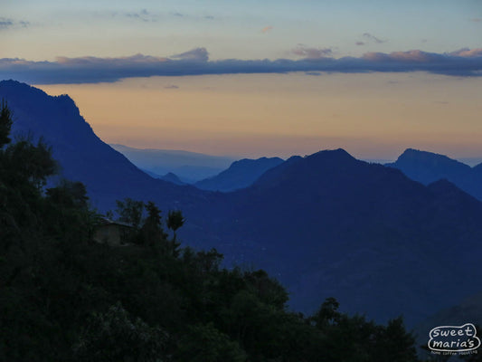 Looking out at the sun setting over the dramatic peaks of the Cuchumatanes mountain range from a Huehuetenango farm.