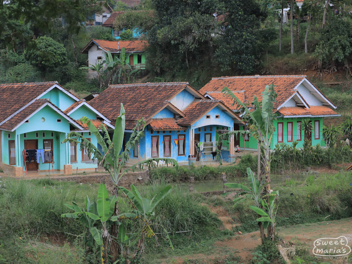  Java Sunda.