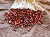  Nyeri