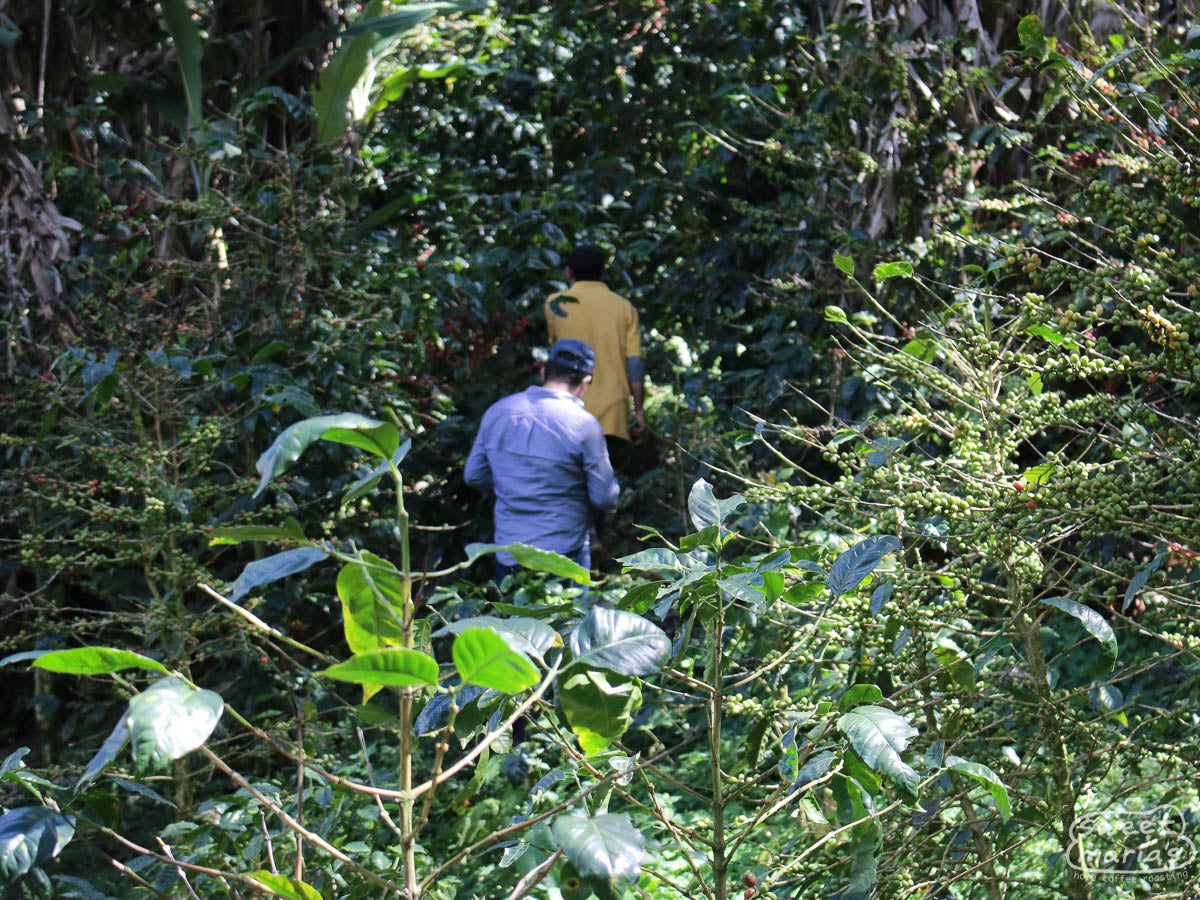  Nicaragua.