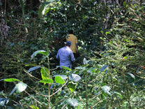  Nicaragua.