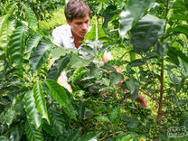 Diego Guardia in the field of his family farm and green coffee micro mill.