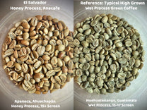 A side-by-side comparison of honey process Anacafe green coffee from Finca San Luis and a wet process Guatemalan green coffee (unroasted).