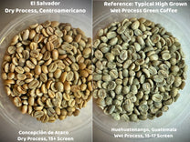 A side-by-side comparison of dry process Centroamericano H1 green coffee from Finca San Luis and a wet process Guatemalan green coffee (unroasted).