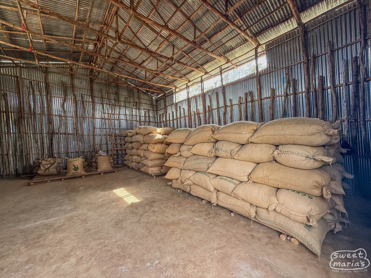 Jute bags filled with dried coffee rest in the cool shade of a warehouse near Geruke.