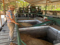 Washing coffee at the La Azotea mill in Chimaltenango.