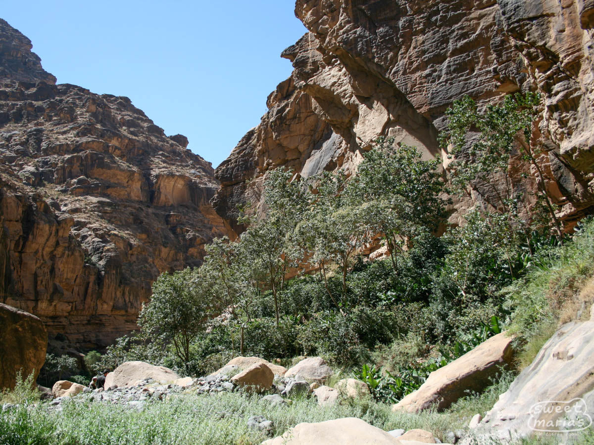 Rocky Yemeni landscape with small out-coppings of coffee on terraces below.